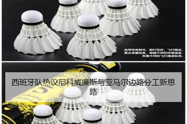 西班牙队热议尼科威廉斯与亚马尔边路分工新思路